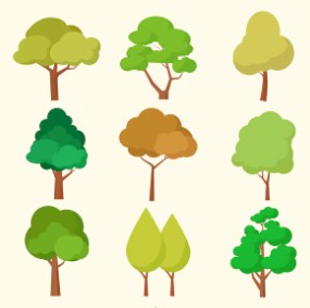 tree - 树