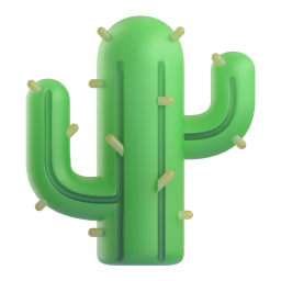 cactus - 仙人掌