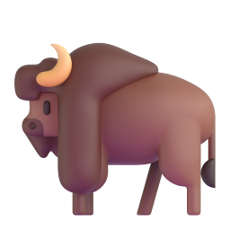 bison - 野牛