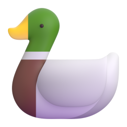 duck - 鸭