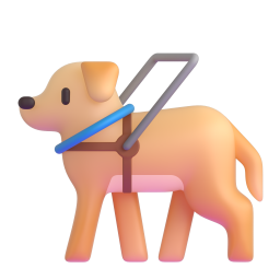 guide dog - 导盲犬