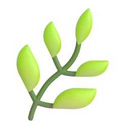 herb - 药草