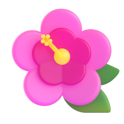 hibiscus - 芙蓉