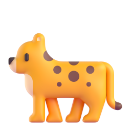 leopard - 豹