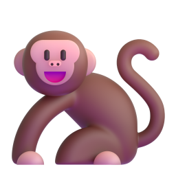 monkey - 猴子