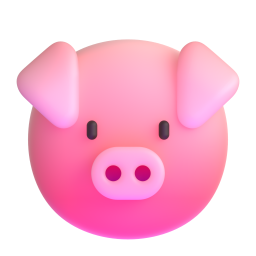 pig face - 猪脸