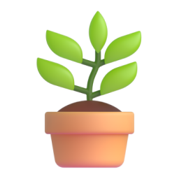 potted plant - 盆花