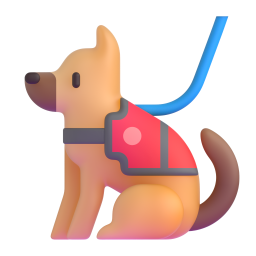 service dog - 服务犬
