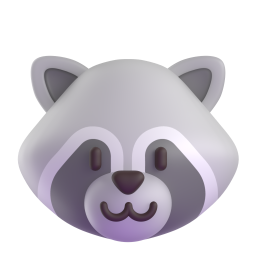 raccoon - 浣熊