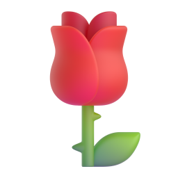rose - 玫
