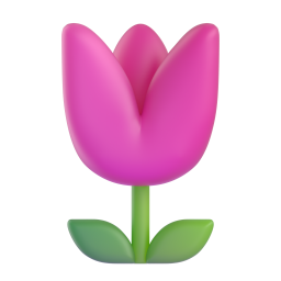 tulip - 郁金香