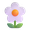 blossom