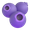 blueberries