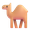 camel