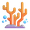 coral