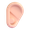 ear
