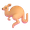 kangaroo