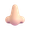 nose