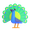 peacock
