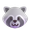 raccoon