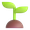 seedling