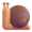 snail