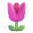 tulip